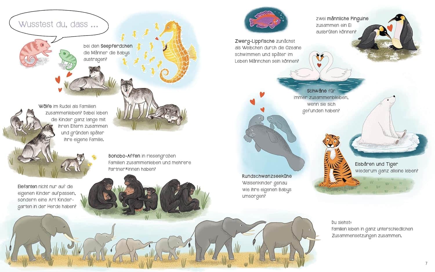 Ach, das ist Familie?! - Familien in der Tierwelt: Abgebildet sind verschiedene Tierarten